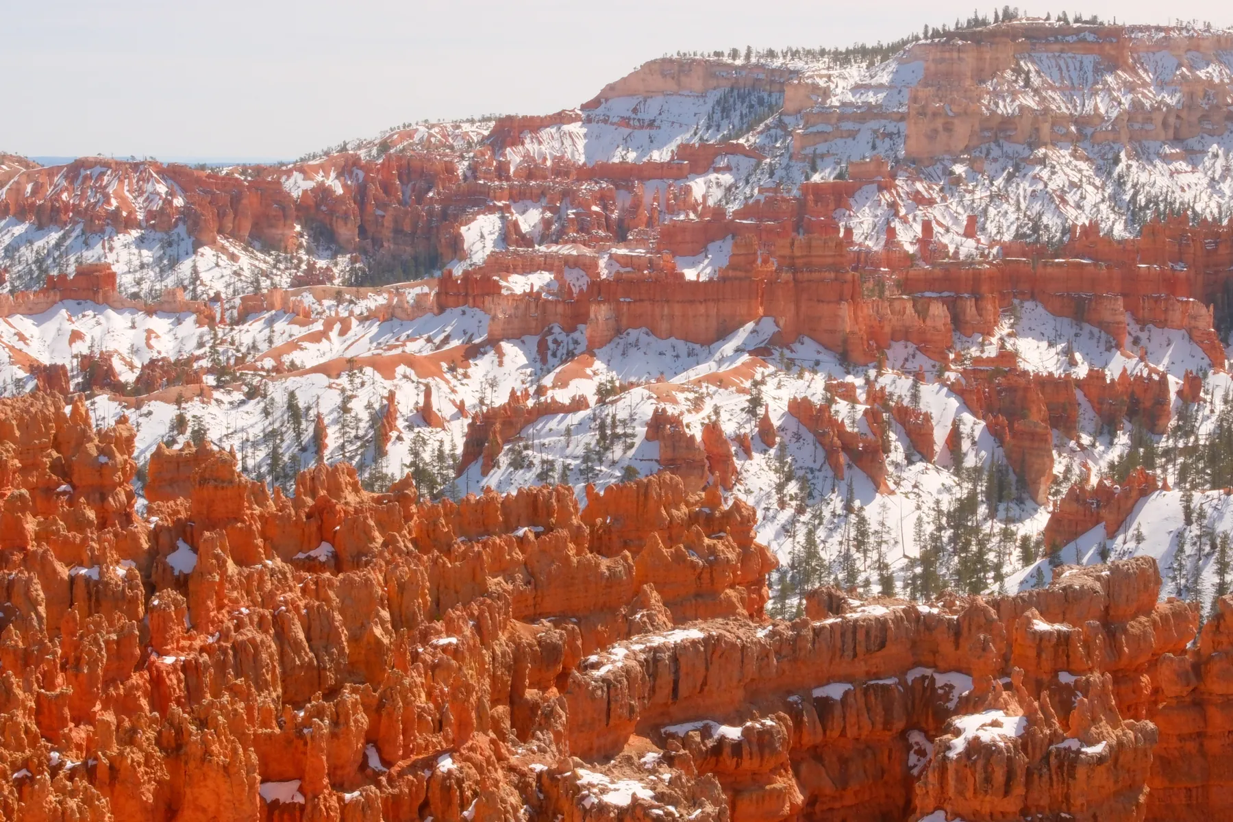 Iconic orange hoodoos of Bryce Canyon National Park dusted with fresh snow.