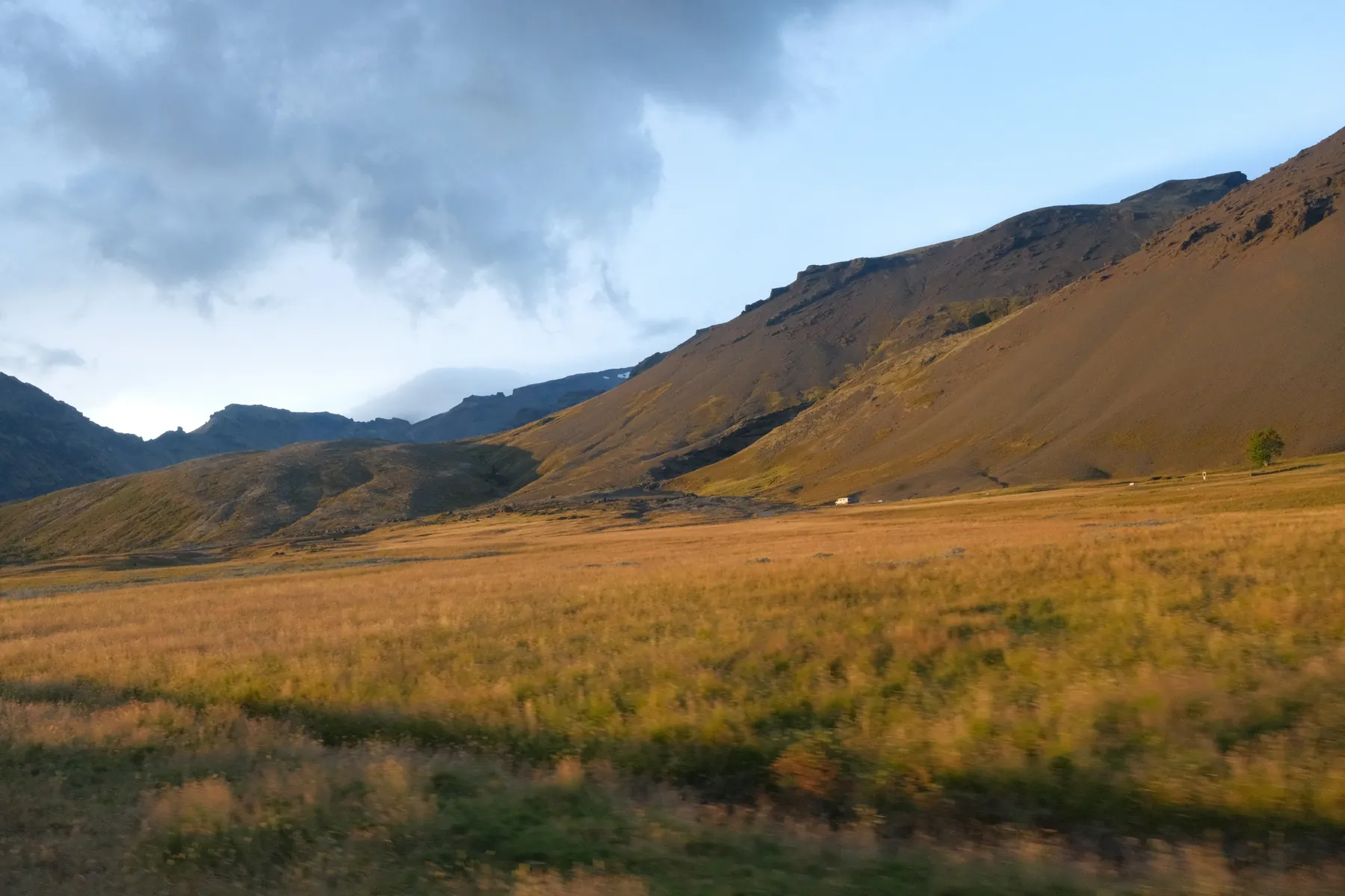 A vast, golden meadow stretches towards dark mountains under a cloudy sky.